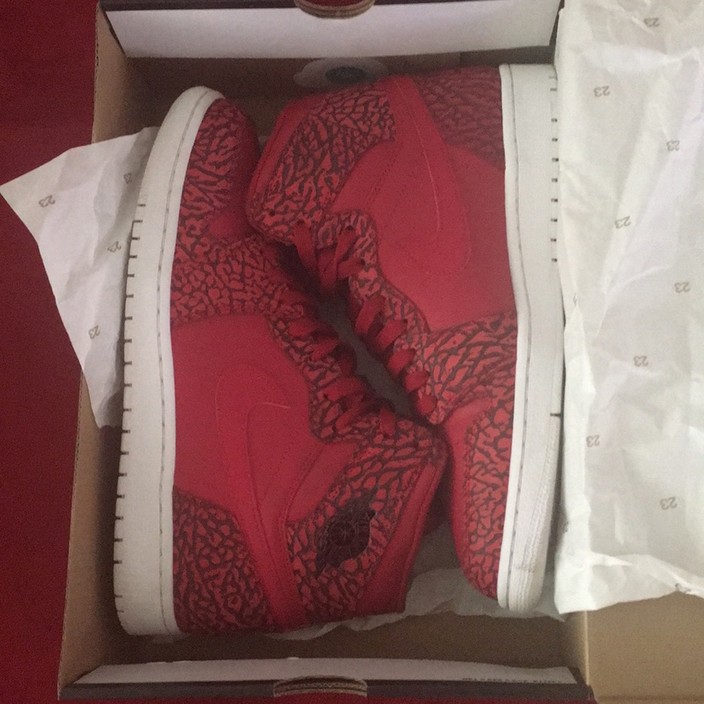 Air Jordan 1 retro